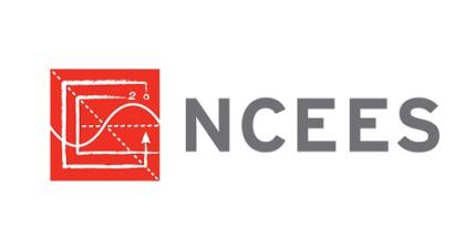 NCEES logo - small